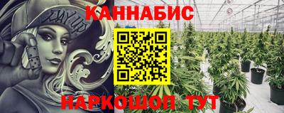 эйфоретик Гай
